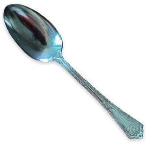 Marion Silverplate Dinner Spoon Camden 1929